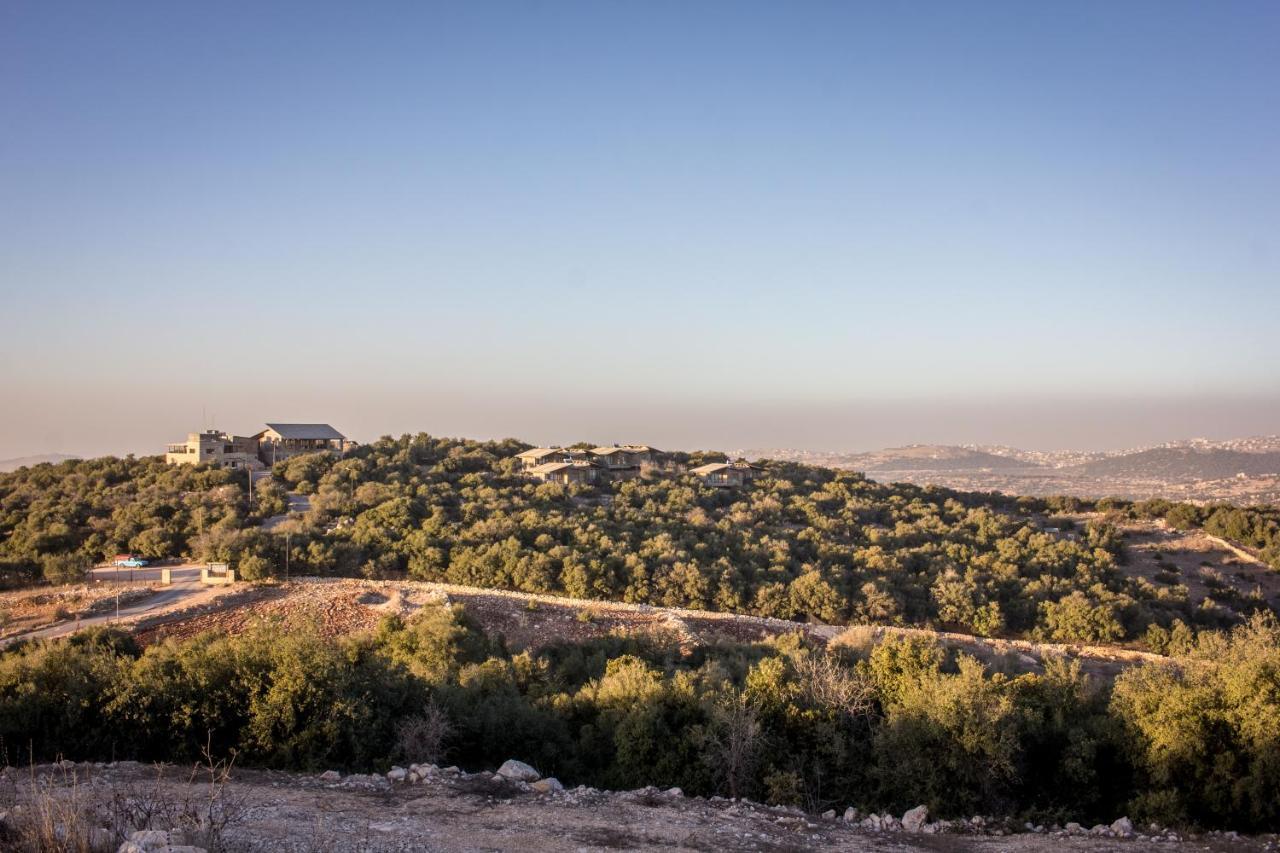Ajloun Forest Reserve Jarash Eksteriør billede